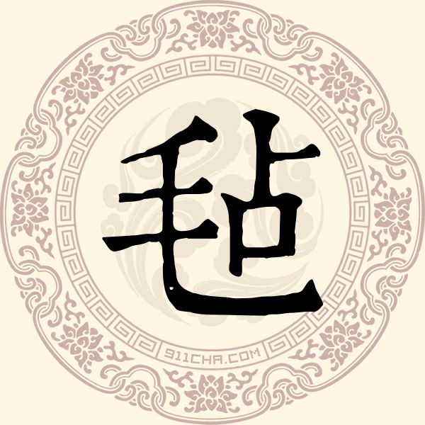 毡姓