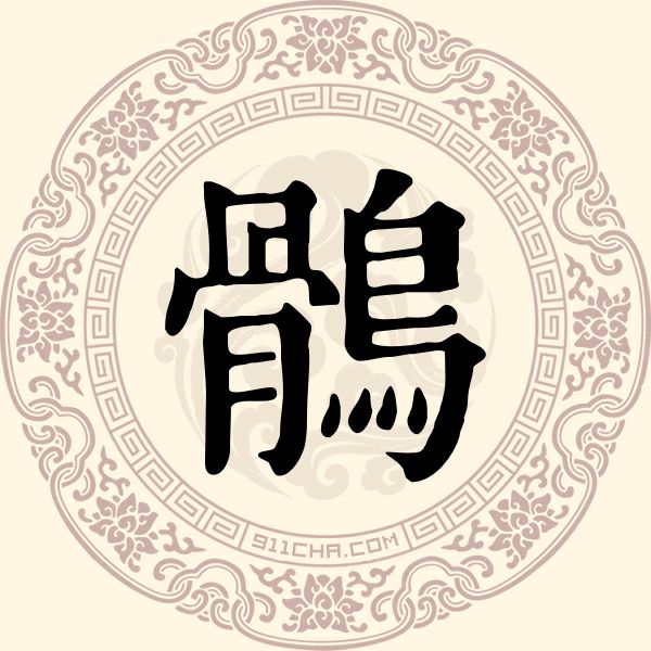 鹘姓