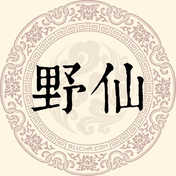 野仙姓