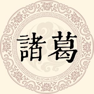 诸葛沛君