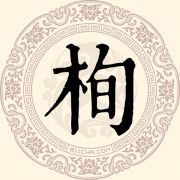 栒姓