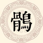 鹘姓