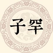 子罕姓