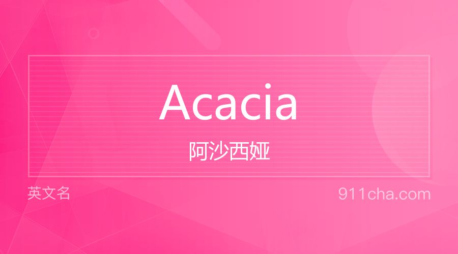 Acacia 阿沙西娅