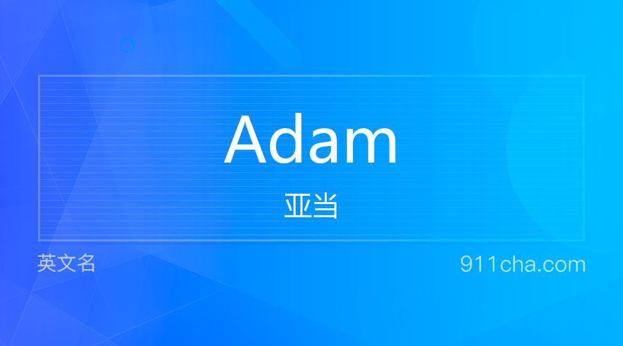 Adam 亚当