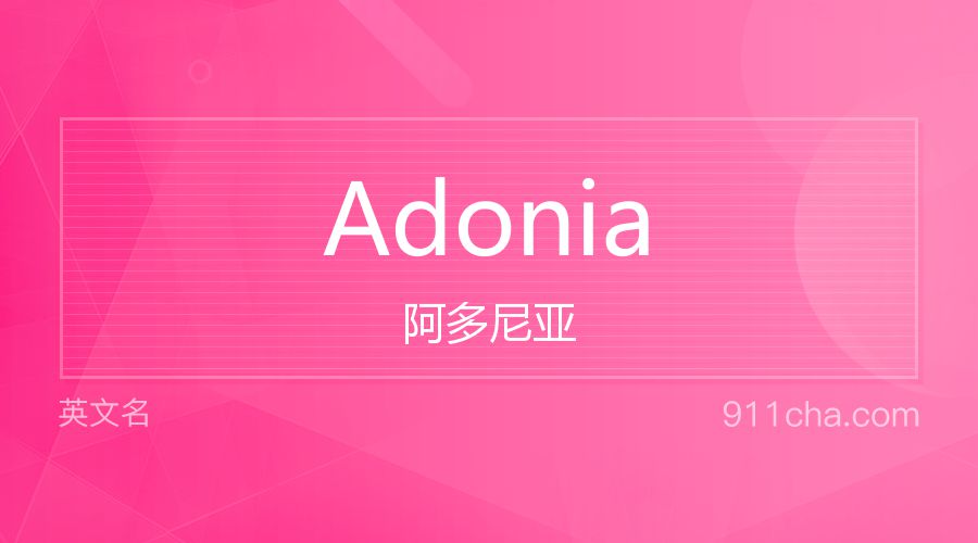 Adonia 阿多尼亚