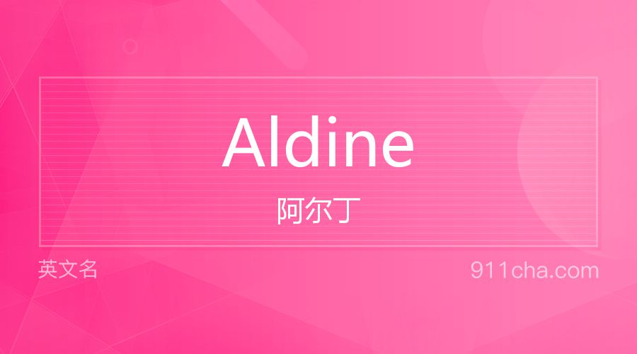 Aldine 阿尔丁