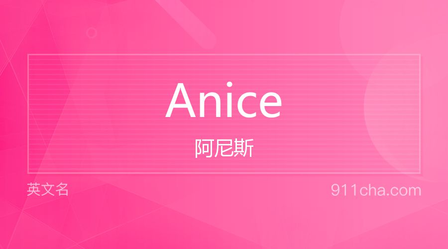 Anice 阿尼斯