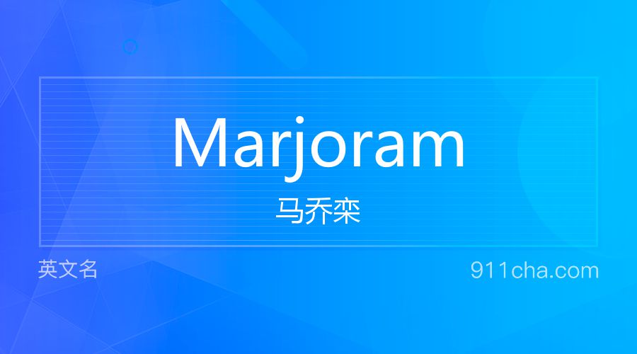 Marjoram 马乔栾