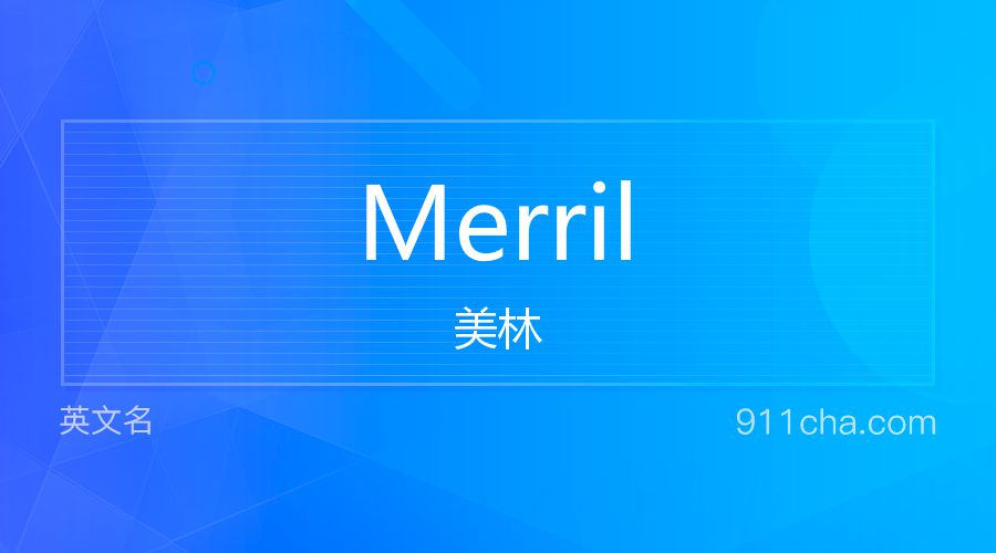 Merril 美林