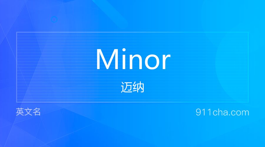 Minor 迈纳