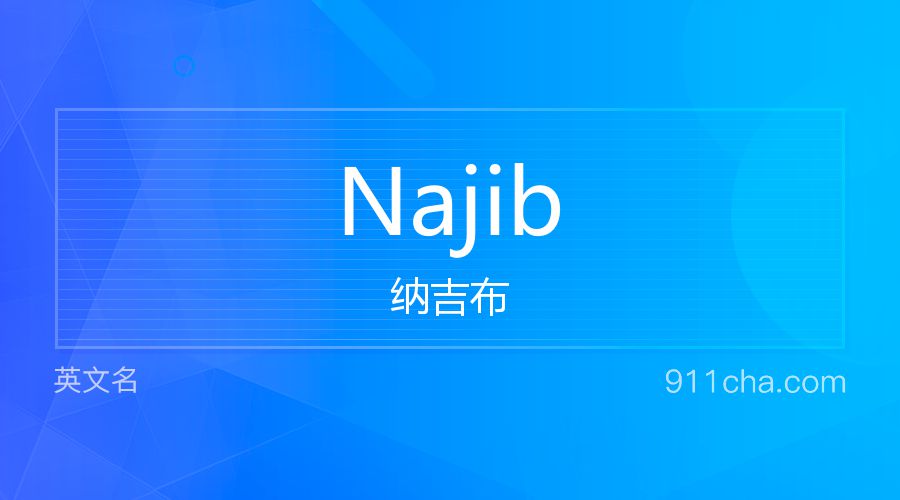 Najib 纳吉布