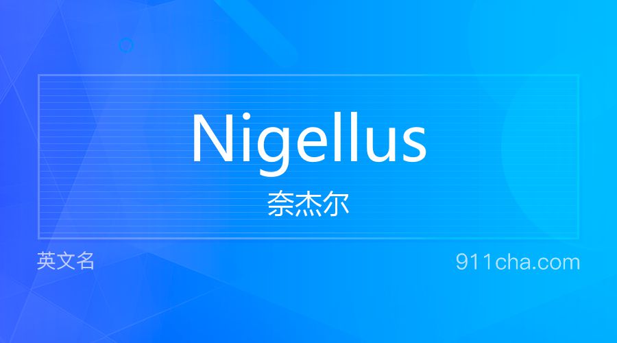 Nigellus 奈杰尔