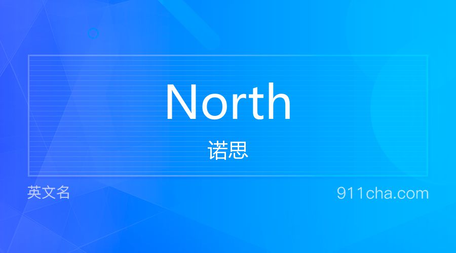 North 诺思