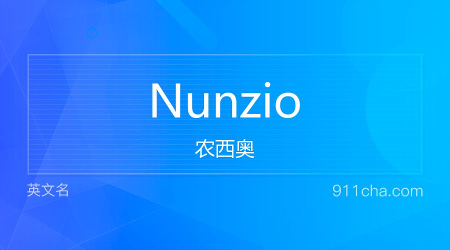 Nunzio 农西奥