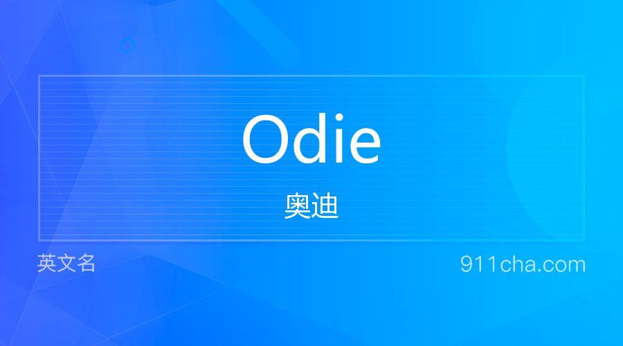 Odie 奥迪