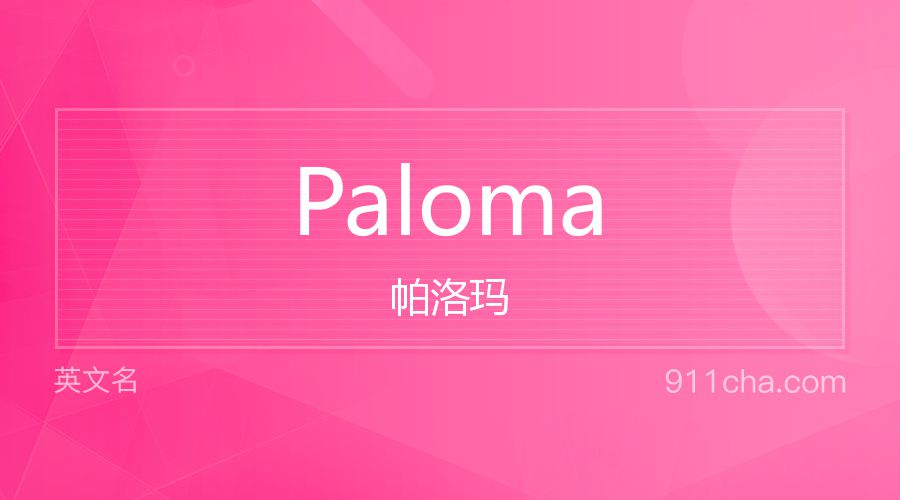 Paloma 帕洛玛