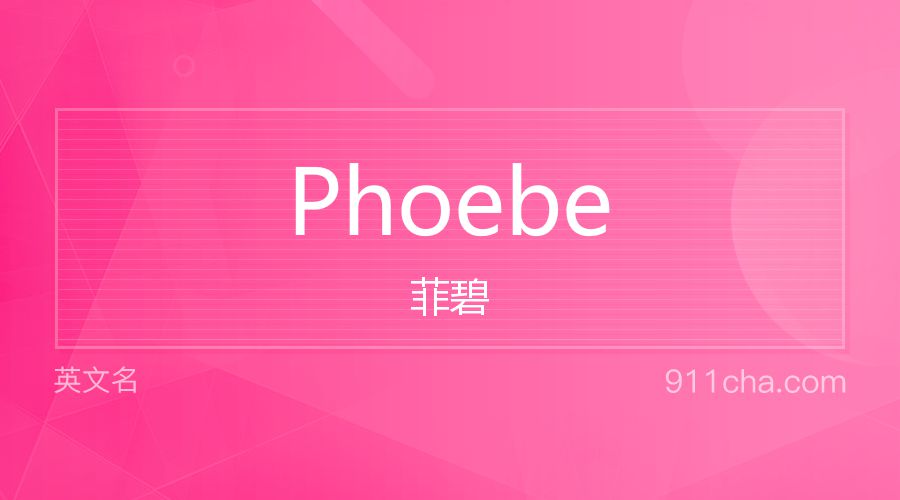 Phoebe 菲碧