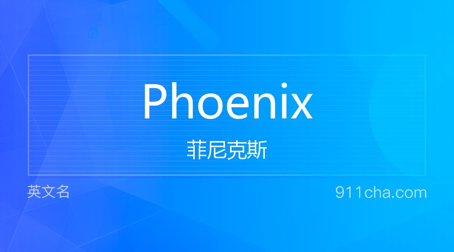 Phoenix 菲尼克斯