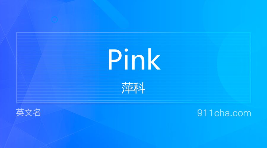 Pink 萍科