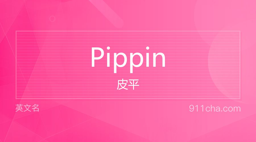 Pippin 皮平