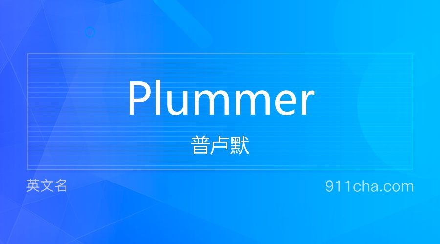 Plummer 普卢默