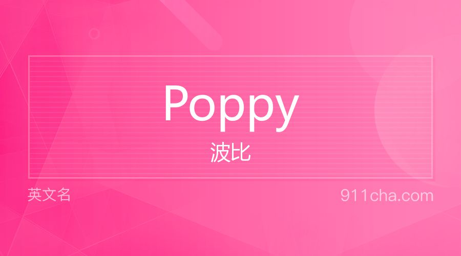 Poppy 波比