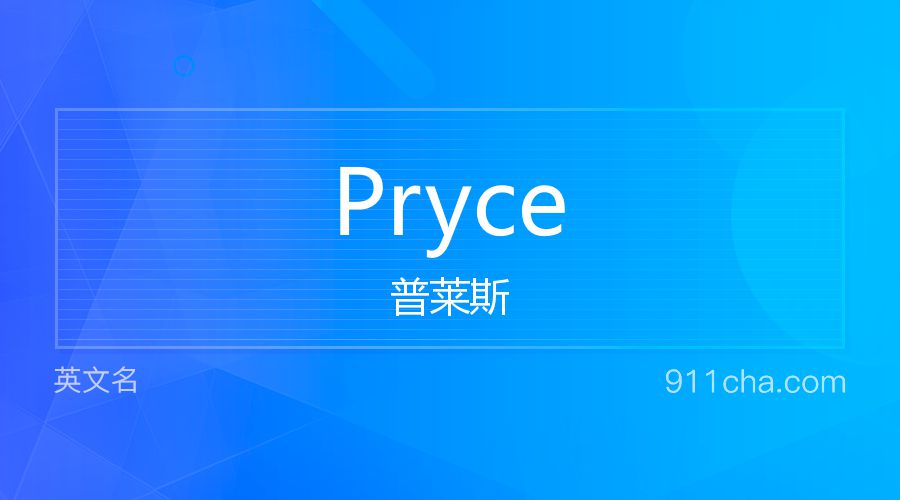 Pryce 普莱斯