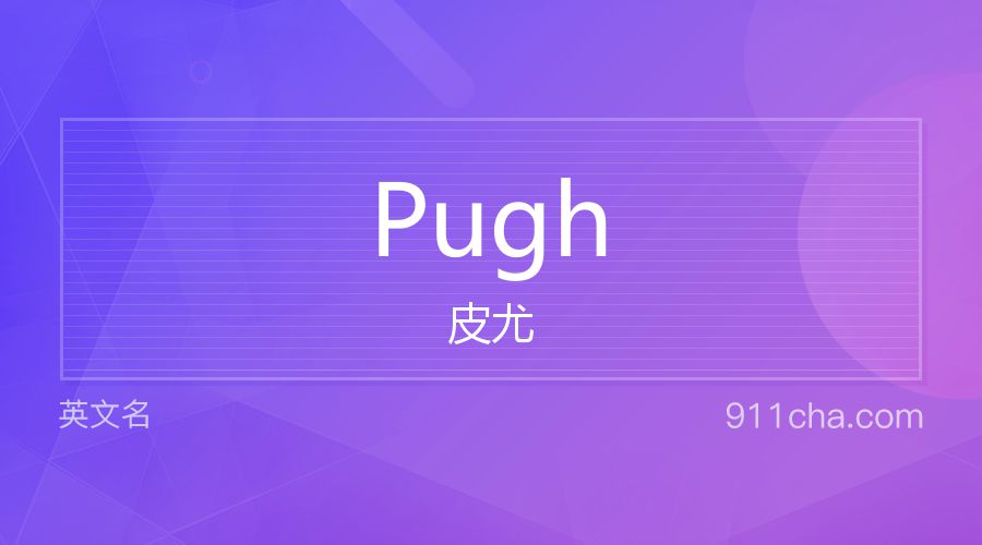 Pugh 皮尤