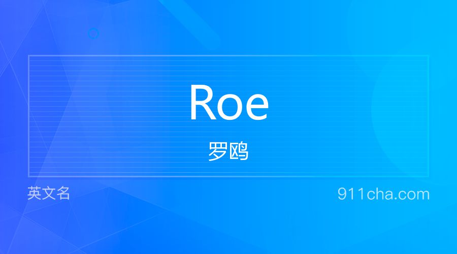 Roe 罗鸥