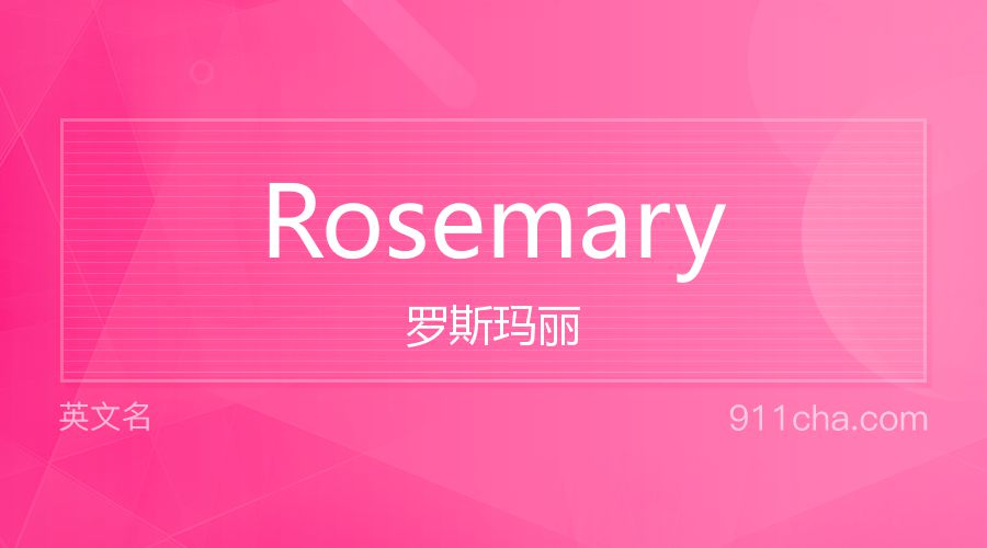 Rosemary 罗斯玛丽