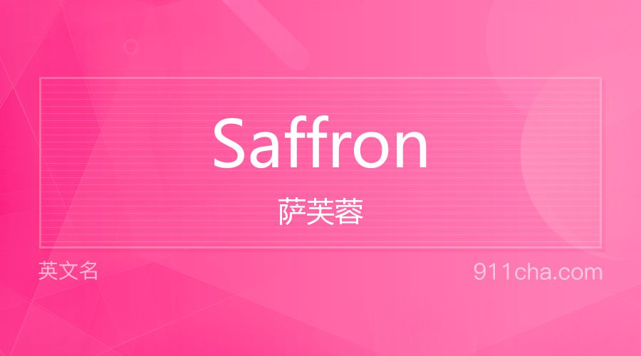 Saffron 萨芙蓉