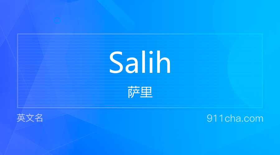 Salih 萨里