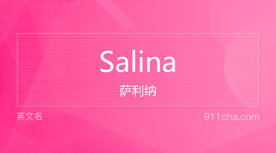 Salina 萨利纳