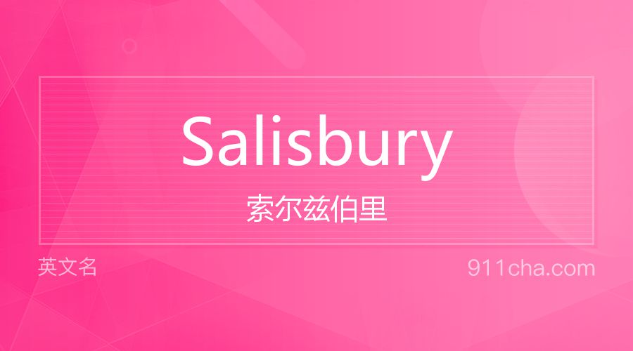 Salisbury 索尔兹伯里