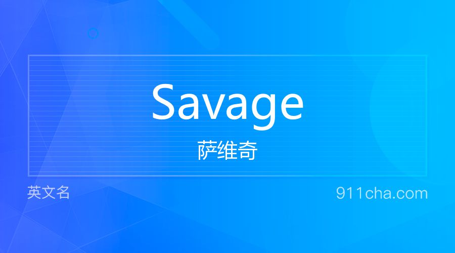 Savage 萨维奇