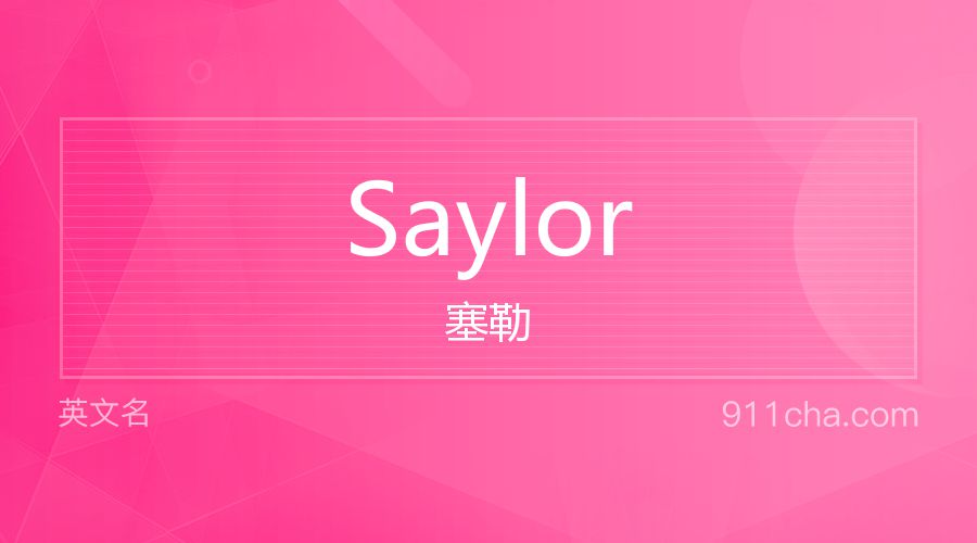 Saylor 塞勒