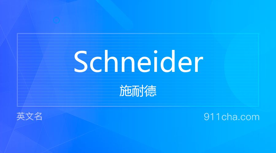 Schneider 施耐德