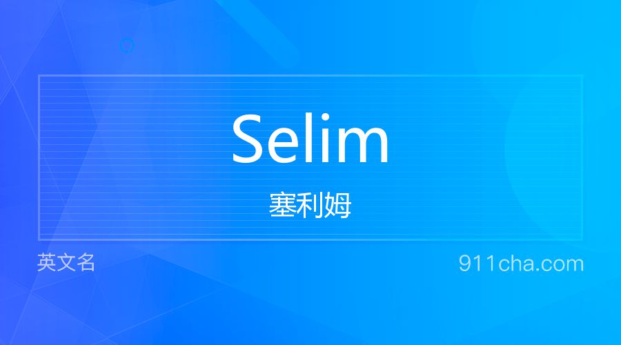 Selim 塞利姆