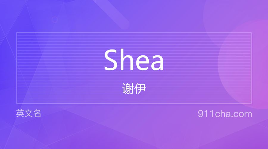 Shea 谢伊