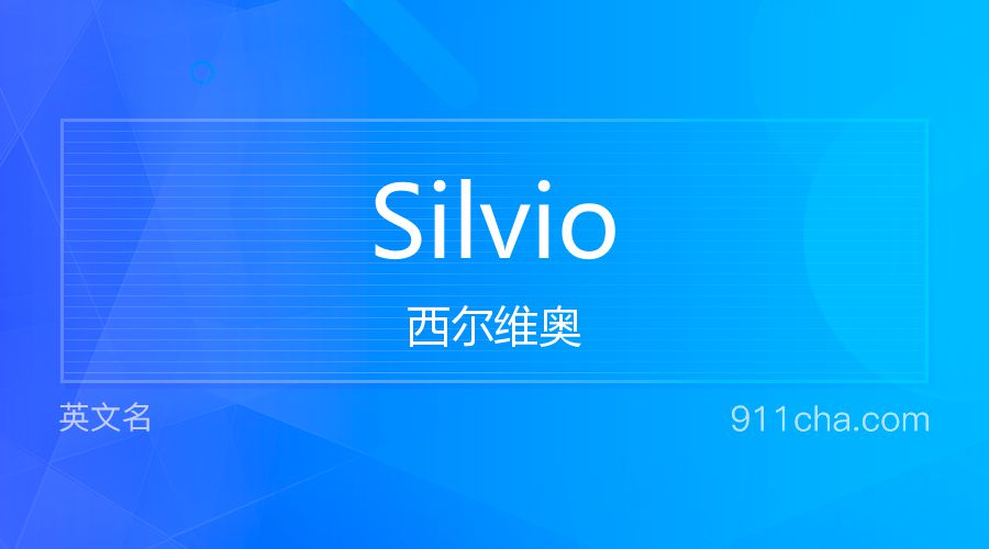 Silvio 西尔维奥