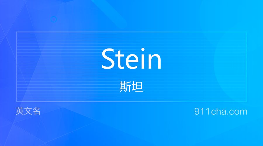 Stein 斯坦