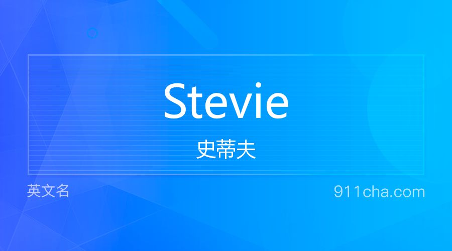 Stevie 史蒂夫