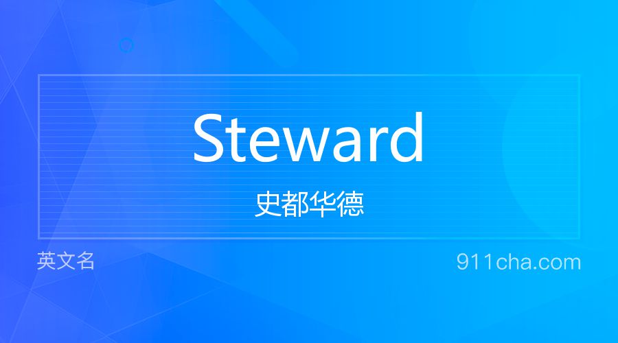 Steward 史都华德