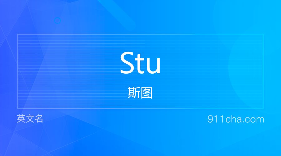 Stu 斯图