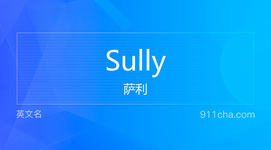 Sully 萨利