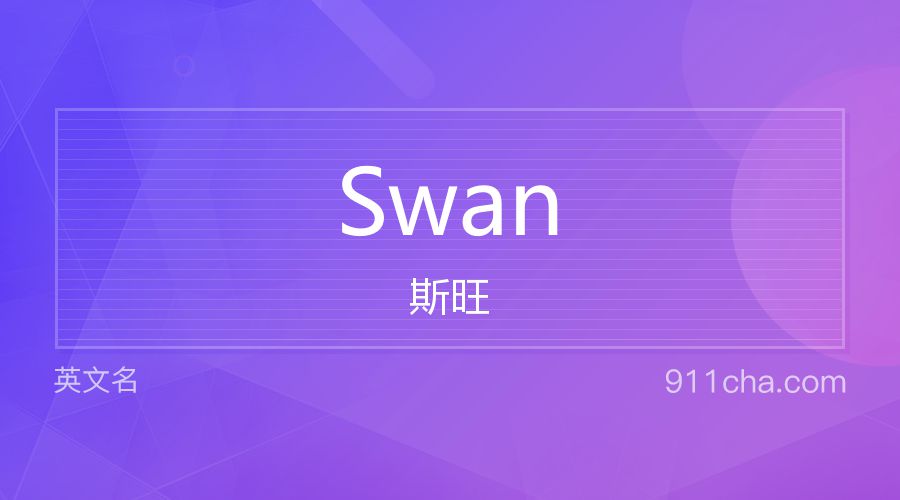 Swan 斯旺