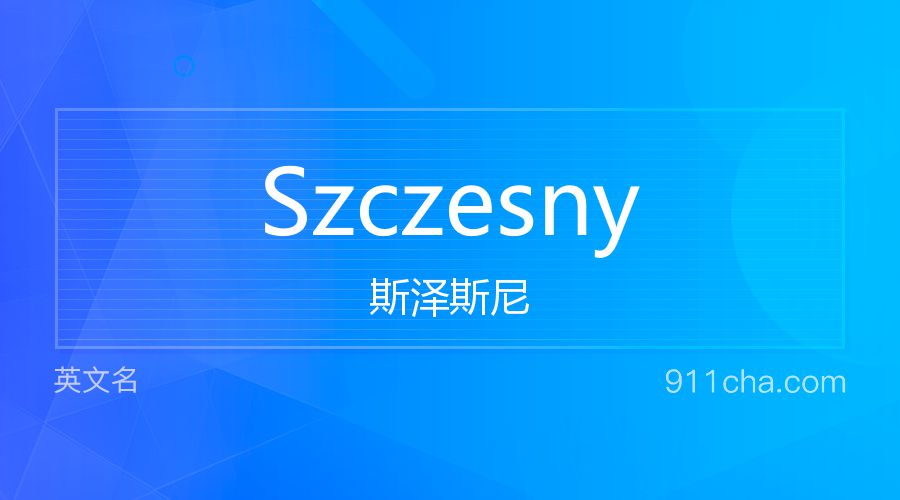 Szczesny 斯泽斯尼