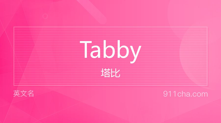 Tabby 塔比