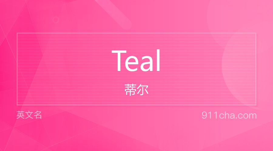 Teal 蒂尔